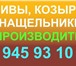 Изображение в Строительство и ремонт Строительные материалы Гкп  Мэнтис  Производит и реализует Полок в Санкт-Петербурге 150