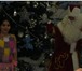 Foto в Развлечения и досуг Организация праздников Какой Новый год и Рождество без настоящего в Москве 1 800