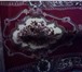 Фотография в Мебель и интерьер Ковры, ковровые покрытия Продам новый ковер 1.8*2.6 м, квадратный.Устойчив в Ижевске 2 500