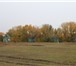 Изображение в Недвижимость Разное Продаётся турбаза в Светлоярском районе Волгоградской в Москве 2 200 000