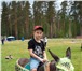 Фотография в Домашние животные Другие животные Подарите ребёнку незабываемый праздник. Пригласите в Санкт-Петербурге 3 000