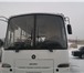 Foto в Авторынок Городской автобус продам паз аврора 54 места городской в Ачинске 210 000