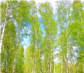 Изображение в Недвижимость Земельные участки Продам хороший земельный участок в жилом в Красноярске 650 000