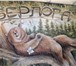 Фотография в Строительство и ремонт Ремонт, отделка Нанесение декоративной штукатурки любых видов. в Омске 400