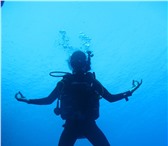 Фото в Спорт Разное Курс Open Water Diver (Первоначальный курс в Москве 0