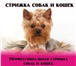 Изображение в Домашние животные Стрижка собак Уважаемые владельцы! Хочу предложить Вам в Москве 800
