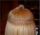Foto в Красота и здоровье Разное продаю волосы, новые 150 прядей. , цвет блонд, в Тольятти 5 600