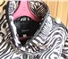 Фото в Одежда и обувь Женская одежда Пальто женское из плащевки (под зебру), с в Краснодаре 3 000