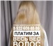 Фото в Красота и здоровье Салоны красоты Наша кампания занимается профессионально в Иваново 120 000