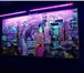 Foto в Строительство и ремонт Строительные материалы Светящиеся панорамные 3-д обои, 80 дизайнов. в Омске 1 500