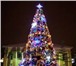 Foto в Развлечения и досуг Организация праздников Желаете купить искусственную елку один раз в Москве 1