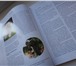 Фото в Хобби и увлечения Книги Книга по грумингу в отличном состоянии. 170 в Комсомольск-на-Амуре 2 000