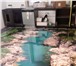 Фотография в Строительство и ремонт Ремонт, отделка Полимерные наливные 3d полы – это прекрасная в Ростове-на-Дону 5 000