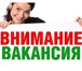 Фото в Работа Вакансии Пунктуальность Быстрая обучаемость Коммуникабельность в Москве 50 000