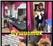 Foto в Домашние животные Услуги для животных Мы занимаеся стрижками Собак и кошек с 2007 в Москве 1 000