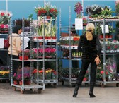 Foto в Прочее,  разное Разное Тролли продам. Тележки б/у, для транспортировки в Перми 4