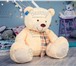 Фотография в Для детей Детские игрушки В магазине больших плюшевых медведей Вы найдете в Кирове 500