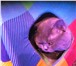 Изображение в Домашние животные Вязка Предлагаю вязку с красивым британским котом. в Москве 2 000