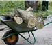 Фото в Прочее,  разное Разное Спил деревьев любой сложности. Очистка садов,участков, в Ростове-на-Дону 200