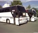 Foto в Авторынок Междугородный автобус Продаю автобус Neoplan 116.1986 год выпуска.Не в Саратове 1 300 000