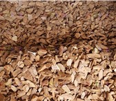 Фотография в Строительство и ремонт Разное Продаем дрова сосновые, сухие, хороший толстый в Томске 2 500