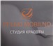 Изображение в Красота и здоровье Косметические услуги В студии красоты "STILNO MOBILNO" проводиться в Москве 490