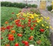 Foto в Недвижимость Продажа домов Продается хороший дом, в живописном месте, в Омске 1 850 000