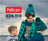 Фото в Одежда и обувь Детская одежда Одежда Pelican - детская и женская одежда в Москве 100