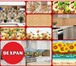 Фотография в Строительство и ремонт Строительные материалы Кухонные фартуки DEXPAN с яркими фотографическими, в Москве 710