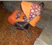 Foto в Для детей Детские коляски продам детскую прогулочную каляску. удобна в Копейске 1 500