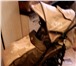 Foto в Для детей Детские коляски коляска-трансформер сидячая.складная, до в Барнауле 5 000