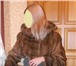 Изображение в Одежда и обувь Женская одежда Продам норковую шубку,  очень красивая,  в Новосибирске 29 900