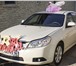 Фотография в Красота и здоровье Разное Продажа украшений на машину на выписку из в Москве 4 500