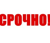 Изображение в Работа Разное Требования: опыт работы от года, самодисциплина, в Москве 120 000