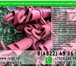 Фото в Строительство и ремонт Строительные материалы Подкос монтажный для колонн винтовойПодкосы в Санкт-Петербурге 6 000