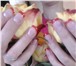 Изображение в Красота и здоровье Разное Наращивание ногтей гелем на типсах и на формах. в Екатеринбурге 500