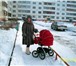 Изображение в Для детей Детские коляски Продам коляску фирмы  МИКРУС(ПОЛЬША)люлька в Твери 7 000