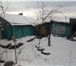 Фотография в Недвижимость Продажа домов Продам дом с земельным участком по ул.Бугачевская, в Красноярске 1 100 000