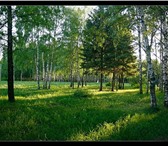 Foto в Недвижимость Земельные участки Продам земельный участок , находится в поселке в Екатеринбурге 349 000