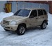 Срочно! Продается прочный автомобиль Chevrolet Niva, Автомобиль очень надежный, ни разу не подво 11393   фото в Самаре