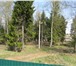 Фотография в Недвижимость Земельные участки Земельный участок (часть леса), расположенный в Москве 3 950 000