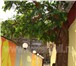 Изображение в Строительство и ремонт Дизайн интерьера Искусственное дерево в интерьере с ненатуральным в Казани 1 000