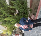 Foto в Авторынок Авто на заказ ежедневно к 9ч на свердл пр-т28а с каракульской в Челябинске 50