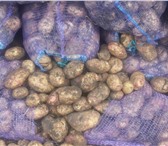 Фото в Прочее,  разное Разное Картофель оптом Продаем картофель оптом по в Воронеже 16