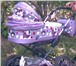 Фотография в Для детей Детские коляски Wiejar roxana, комплектация люлька и сидение в Гатчина 5 000