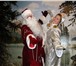 Изображение в Развлечения и досуг Организация праздников Вызов на дом Деда Мороза  Снегурочки   Тигра в Щекино 800