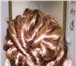 Изображение в Красота и здоровье Разное Делаю причёски на свадьбу, выпускной, юбилею в Твери 600