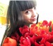 Foto в Прочее,  разное Разное Доставка до Омска бесплатно!Тюльпаны из Куйбшева в Омске 35