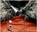 Фотография в Одежда и обувь Мужская одежда Продаю новую чудесную демисезонную куртку в Москве 2 600