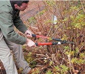 Foto в Авторынок Транспорт, грузоперевозки Разнорабочие в Новороссийске. Круглосуточно в Москве 350